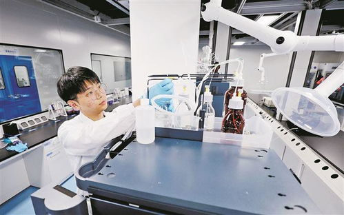 廈門布局建設首批聯合實驗室 重點推動新興產業和未來產業領域布局建設