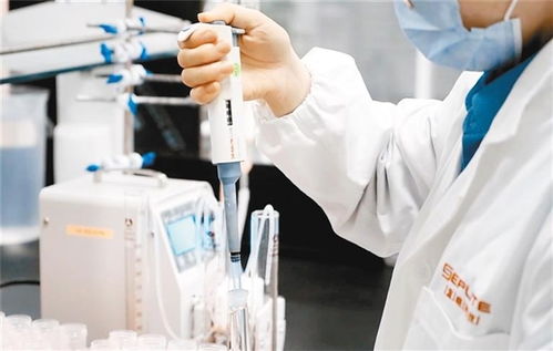 藍(lán)曉科技 小 顆粒如何成長為 大 冠軍