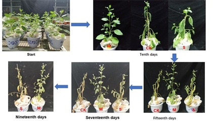 水保所在生態(tài)環(huán)境治理新型材料研發(fā)方面取得重要進展