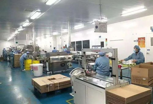 總投資4500萬美元,年產45億粒膠囊 寶應外資項目又有重大突破