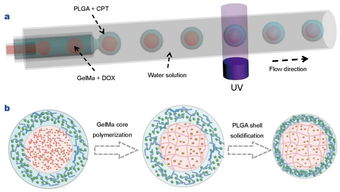 生物材料的多樣性和dds設計 藥物傳遞系統 ?？瘓D文詳解