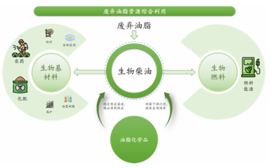 賣&ldquo;地溝油&rdquo;的準(zhǔn)獨(dú)角獸沖刺IPO了!